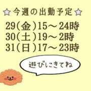 ヒメ日記 2024/03/28 23:54 投稿 坂井 久美(献身的な濃厚施術) 王様のエステ