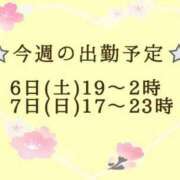 ヒメ日記 2024/04/04 11:30 投稿 坂井 久美(献身的な濃厚施術) 王様のエステ