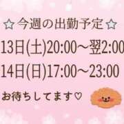 ヒメ日記 2024/04/11 07:02 投稿 坂井 久美(献身的な濃厚施術) 王様のエステ