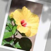 ヒメ日記 2025/05/06 19:20 投稿 北川愛 プレジデントハウス