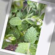 ヒメ日記 2025/06/04 19:17 投稿 北川愛 プレジデントハウス