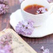 ヒメ日記 2025/01/21 20:35 投稿 ひかる 奥鉄オクテツ奈良