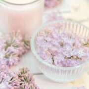 ヒメ日記 2025/02/24 08:00 投稿 ひかる 奥鉄オクテツ奈良