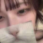 ヒメ日記 2025/03/17 15:56 投稿 兎月　めい クラブダイアモンド日本橋店