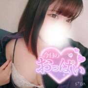 ヒメ日記 2025/09/09 10:20 投稿 えりか 奥様特急　池袋・大塚店