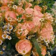 ヒメ日記 2024/12/21 00:53 投稿 みつ 即アポ奥さん ～津・松阪店～