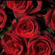 ヒメ日記 2025/01/13 05:33 投稿 みつ 即アポ奥さん ～津・松阪店～