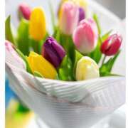 ヒメ日記 2025/01/18 05:33 投稿 みつ 即アポ奥さん ～津・松阪店～