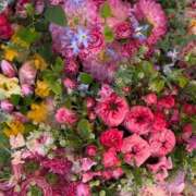 ヒメ日記 2025/02/15 23:23 投稿 みつ 即アポ奥さん ～津・松阪店～