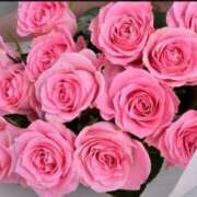 ヒメ日記 2025/02/16 13:53 投稿 みつ 即アポ奥さん ～津・松阪店～