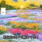 ヒメ日記 2025/02/26 00:13 投稿 みつ 即アポ奥さん ～津・松阪店～