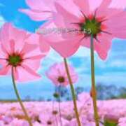 ヒメ日記 2025/02/28 20:03 投稿 みつ 即アポ奥さん ～津・松阪店～