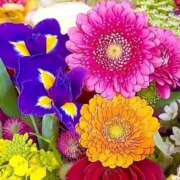 ヒメ日記 2025/03/12 13:20 投稿 みつ 即アポ奥さん ～津・松阪店～