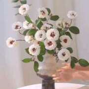 ヒメ日記 2025/03/31 19:14 投稿 みつ 即アポ奥さん ～津・松阪店～