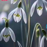 ヒメ日記 2025/04/10 15:17 投稿 みつ 即アポ奥さん ～津・松阪店～