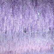 ヒメ日記 2025/05/03 17:14 投稿 みつ 即アポ奥さん ～津・松阪店～