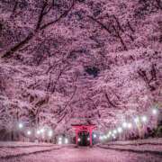 ヒメ日記 2025/05/03 17:24 投稿 みつ 即アポ奥さん ～津・松阪店～