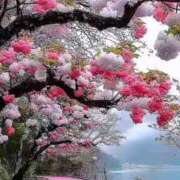 ヒメ日記 2025/05/17 17:34 投稿 みつ 即アポ奥さん ～津・松阪店～