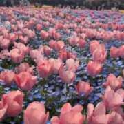 ヒメ日記 2025/05/22 12:44 投稿 みつ 即アポ奥さん ～津・松阪店～