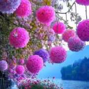 ヒメ日記 2025/05/28 11:14 投稿 みつ 即アポ奥さん ～津・松阪店～