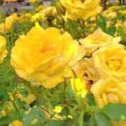 ヒメ日記 2025/06/08 00:14 投稿 みつ 即アポ奥さん ～津・松阪店～