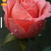 ヒメ日記 2025/06/17 17:34 投稿 みつ 即アポ奥さん ～津・松阪店～