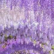 ヒメ日記 2025/06/23 15:57 投稿 みつ 即アポ奥さん ～津・松阪店～