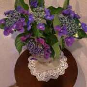 ヒメ日記 2025/07/02 15:24 投稿 みつ 即アポ奥さん ～津・松阪店～