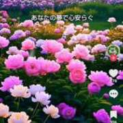 ヒメ日記 2025/07/18 22:34 投稿 みつ 即アポ奥さん ～津・松阪店～