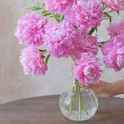 ヒメ日記 2025/07/21 20:34 投稿 みつ 即アポ奥さん ～津・松阪店～