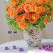 ヒメ日記 2025/08/02 17:44 投稿 みつ 即アポ奥さん ～津・松阪店～