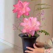 ヒメ日記 2025/08/26 20:14 投稿 みつ 即アポ奥さん ～津・松阪店～