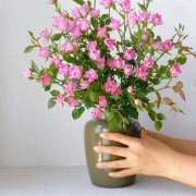 ヒメ日記 2025/08/28 21:54 投稿 みつ 即アポ奥さん ～津・松阪店～