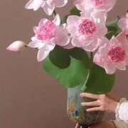 ヒメ日記 2025/08/29 20:12 投稿 みつ 即アポ奥さん ～津・松阪店～