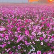 ヒメ日記 2025/09/29 03:34 投稿 みつ 即アポ奥さん ～津・松阪店～