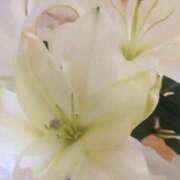 友梨香 日記をみてくださりありがとうございます 出会い系人妻ネットワーク 渋谷〜目黒編