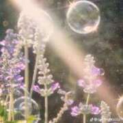 ヒメ日記 2024/12/30 15:40 投稿 りあ プールサイド新橋店