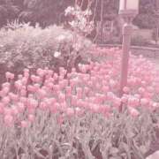 ヒメ日記 2026/03/11 05:07 投稿 りあ プールサイド新橋店