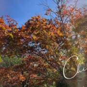 ヒメ日記 2025/10/31 17:21 投稿 じゅん 艶熟妻 京都店