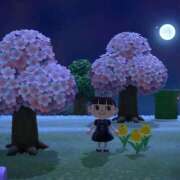 ヒメ日記 2026/04/01 22:33 投稿 ♡ユア MEGA PALACE(メガパレス）