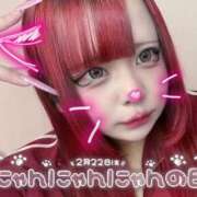 ヒメ日記 2025/02/22 20:22 投稿 いくら ちゃんこ藤沢茅ヶ崎店