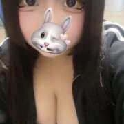 ヒメ日記 2025/11/03 02:22 投稿 いくら ちゃんこ藤沢茅ヶ崎店