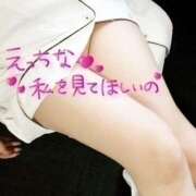 ヒメ日記 2025/09/29 13:41 投稿 菜々緒（ななお） 姫路性感人妻エステ　アロマージュ