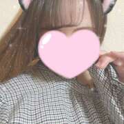 ヒメ日記 2025/02/11 18:54 投稿 めいか おっぱいパラダイス(姫路)