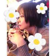 ヒメ日記 2025/12/14 11:26 投稿 みい/スタイル抜群パイパン美女 10代、20代専門ハレンチ倶楽部　姫路店