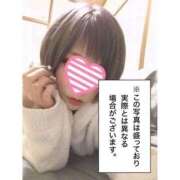 みい/スタイル抜群パイパン美女 ３日間だけ✌(’ω’) 10代、20代専門ハレンチ倶楽部　姫路店