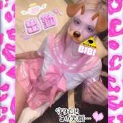 ヒメ日記 2025/09/22 19:06 投稿 びび/逆夜這い！細身パイパン！ 10代、20代専門ハレンチ倶楽部　姫路店