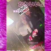 ヒメ日記 2025/12/04 11:36 投稿 びび/逆夜這い！細身パイパン！ 10代、20代専門ハレンチ倶楽部　姫路店