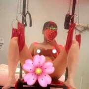 ヒメ日記 2025/04/17 11:33 投稿 める/即尺→お掃除フェラ→動画 10代、20代専門ハレンチ倶楽部　姫路店