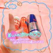 ヒメ日記 2025/01/12 14:04 投稿 ちょこ チューリップ福井本館